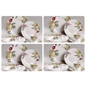 Mikasa Nature's Scenery New 20-Pc Dinnerware Fruit Ruffle Edge DN010 Discontinue